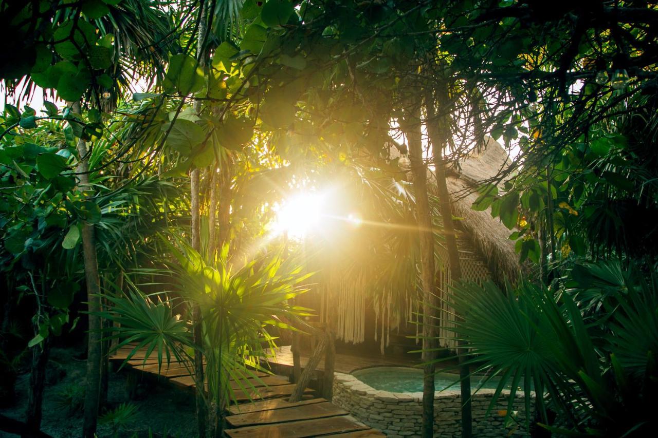 Ikal Tulum Hotel Ngoại thất bức ảnh Jungle at Xel-Há
