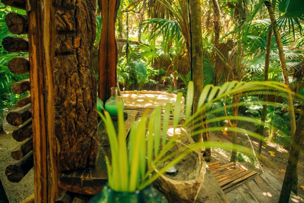 Ikal Tulum Hotel Ngoại thất bức ảnh The interior of the rainforest